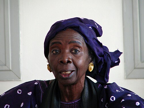 Portrait de Aminata Sow Fall, Lettres, XXe siècle, 1941 — ?