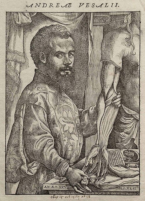 Portrait of Andreas Vesalius, Sciences, Renaissance, 1515 — 1564