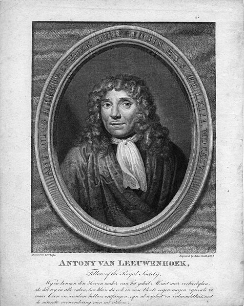 Antoni van Leeuwenhoek