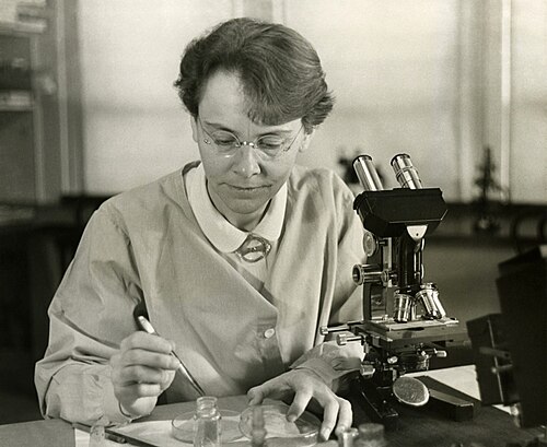 Portrait de Barbara McClintock