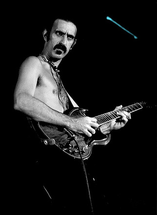 Portrait de Frank Zappa