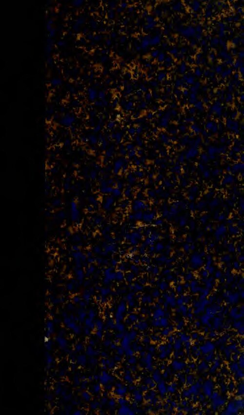 Portrait de Frédéric II de Danemark