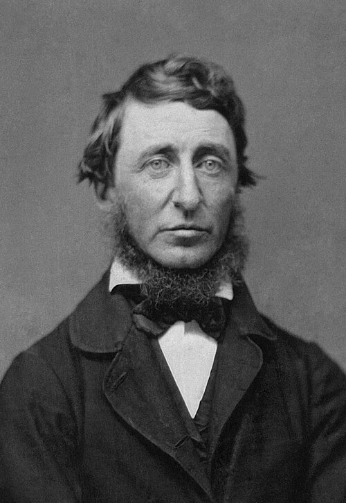 Portrait de Henry David Thoreau