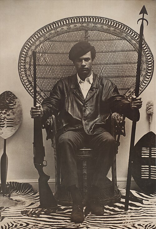Portrait de Huey P. Newton, Politique, XXe siècle, 1942 — 1989
