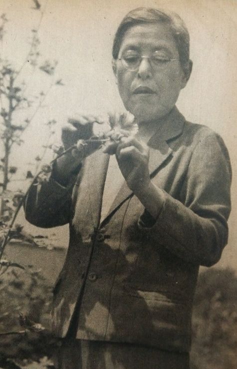 Portrait de Kono Yasui