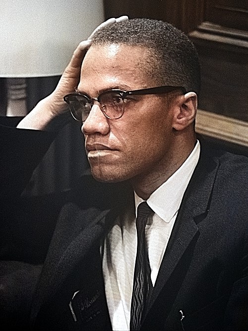 Portrait of Malcolm X, Society, 20th Century, 1925 — 1965