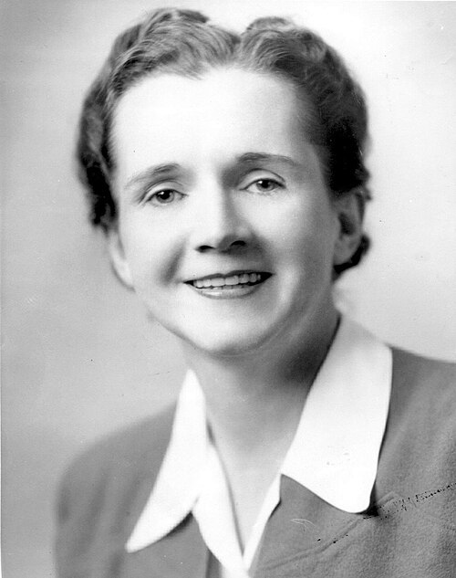 Portrait de Rachel Carson