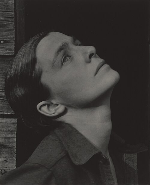 Portrait of Rebecca Strand, Visual Arts, 20th Century