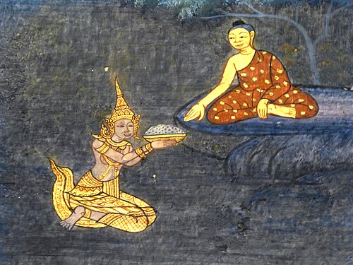 Portrait of Sujata