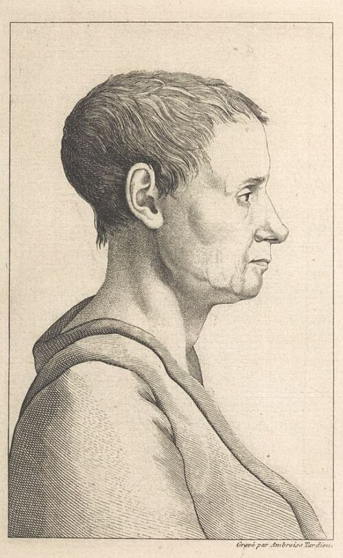 Portrait of Théroigne de Méricourt, Politics, Early Modern
