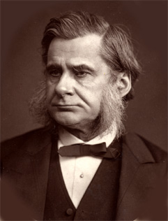 Portrait de Thomas Henry Huxley