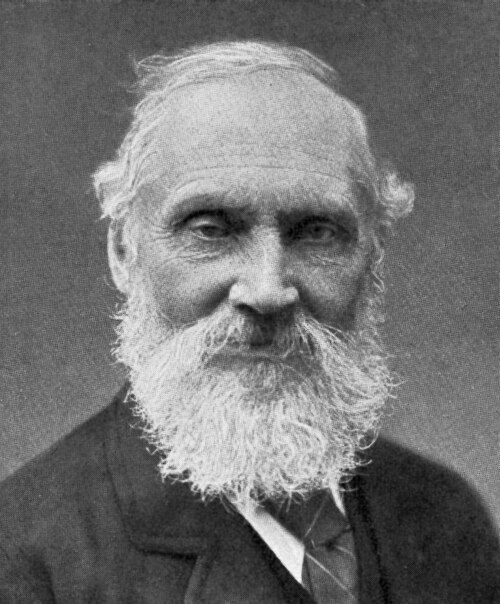 Portrait de William Thomson, 1er baron Kelvin, Sciences, XIXe siècle